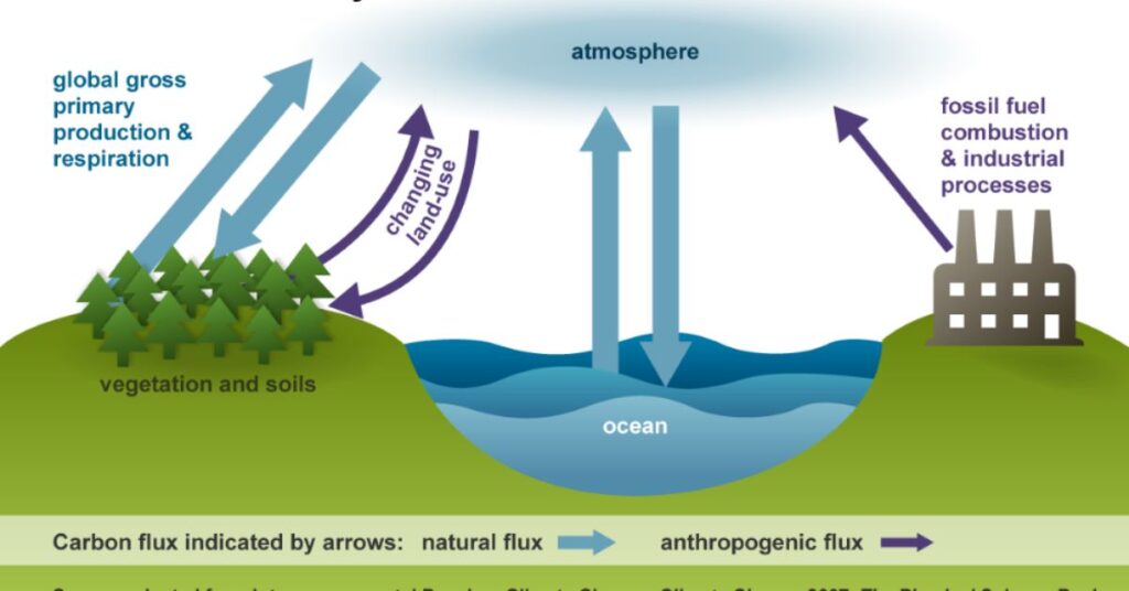 Greenhouse Gas Emissions