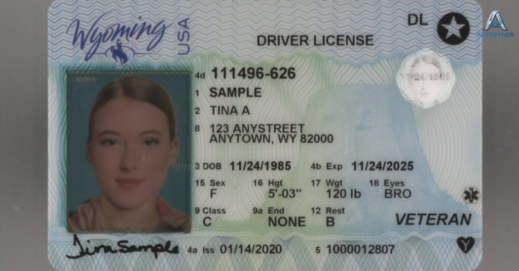 Different Levels of BC Driver’s License