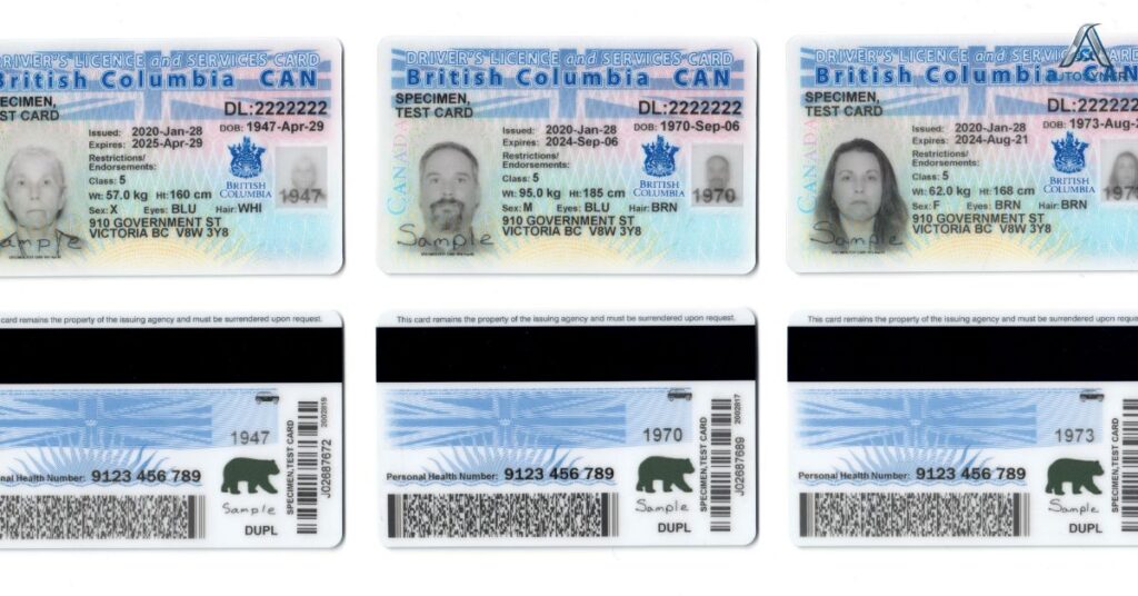 What is a BC Driver’s License